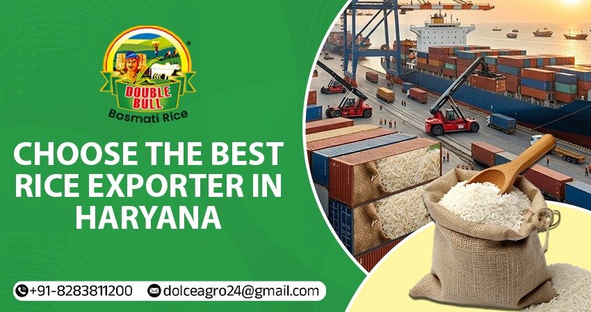 rice exporter in Haryana