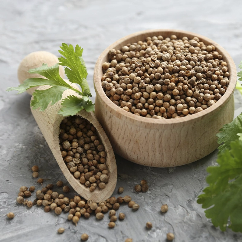 Coriander Seeds