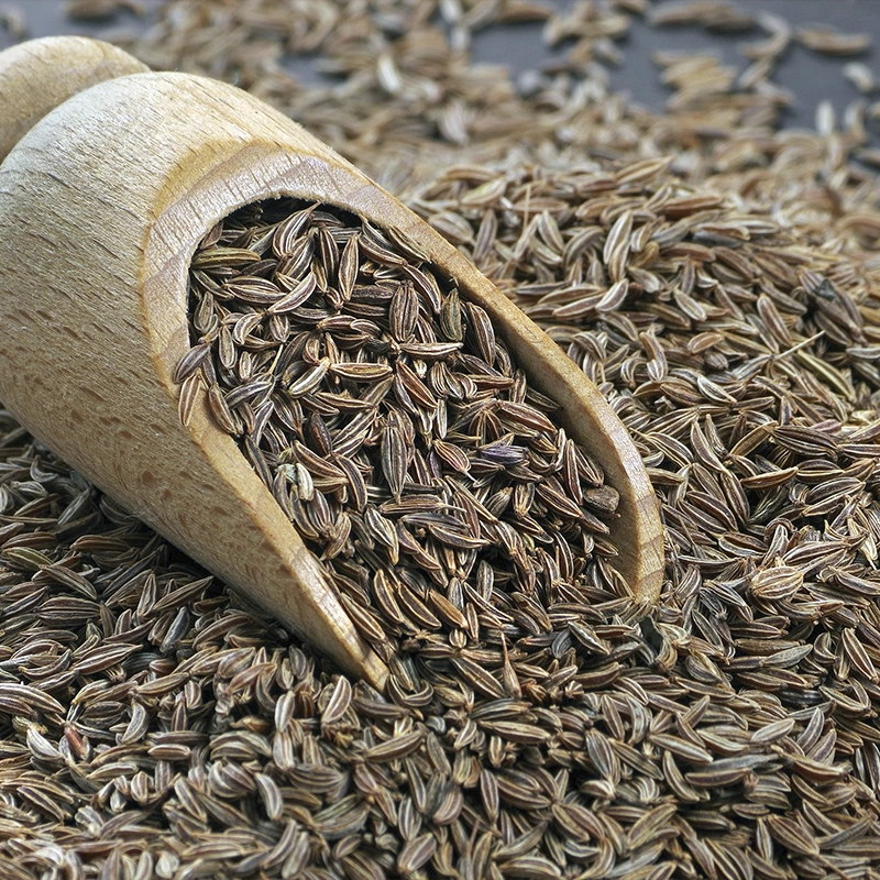 Cumin Seeds