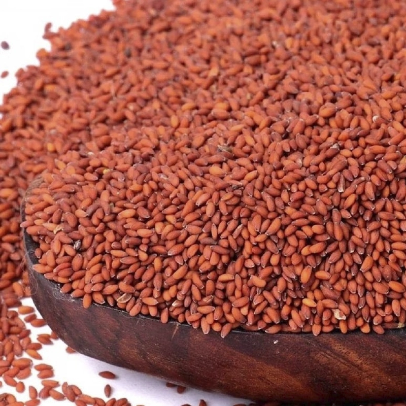 Asaliya Seeds
